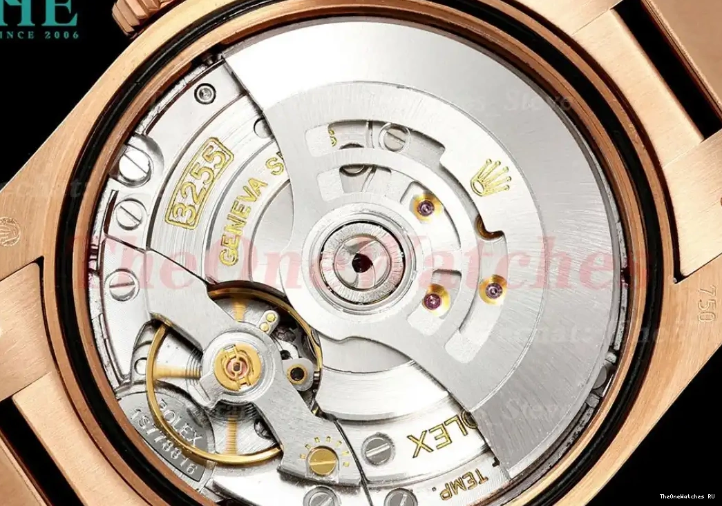 RG Stk Silver VR3255(Gain V3 RG DayDate Weight) 36mm QF 128235 0617